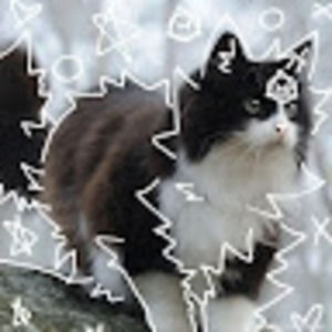 Meet your Posher, Trish